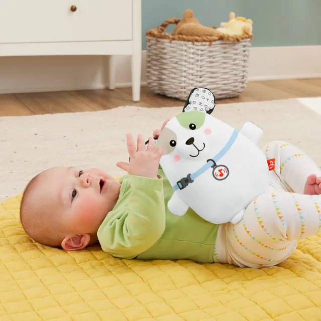 【Fisher price 費雪】震動安撫小狗玩偶(寶寶安撫/嬰兒玩具/彌月禮/新生兒)