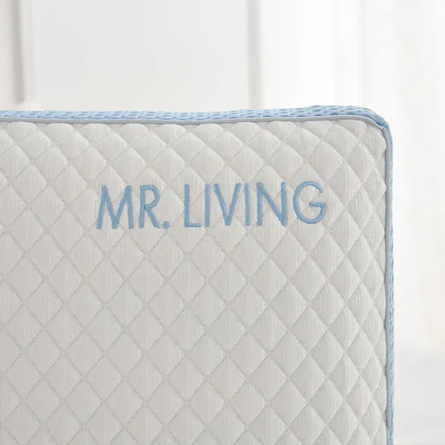 【MR. LIVING 居家先生】買一送一 涼感減壓記憶枕-60*40*14cm(透氣涼感 雙面設計 可拆洗)