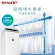 【SHARP 夏普】自動除菌離子衣物乾燥抗黴 16L除濕機(DW-P16HT-W)