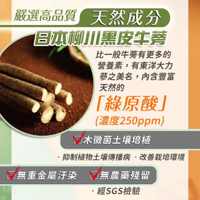【家後】健康好蒡3入組 共180顆(雙健字號認證護肝及腸胃功能改善/有效降GOT及GPT/日本黑皮牛蒡)