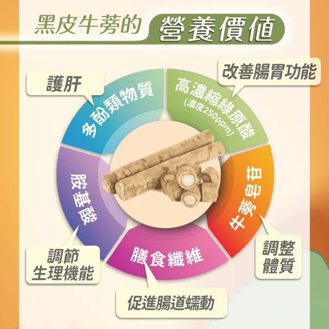 【家後】健康好蒡3入組 共180顆(雙健字號認證護肝及腸胃功能改善/有效降GOT及GPT/日本黑皮牛蒡)