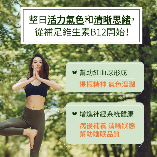 【德國 Natural Fit 活粒適】活性維生素B12 六入組 90粒/入(素食維他命B12 神經系統 紅血球形成 可搭葉酸)