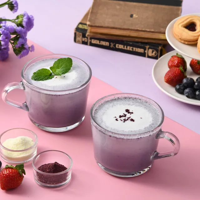【Vilson 米森】無加糖分離乳清蛋白飲-藍莓莓果x1罐(500g/罐)