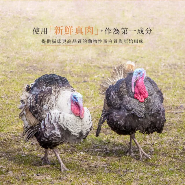 【Cherie 法麗】真肉配方全營養貓糧｜5kg(貓飼料/貓乾糧/成貓/低致敏配方/荷蘭製造)