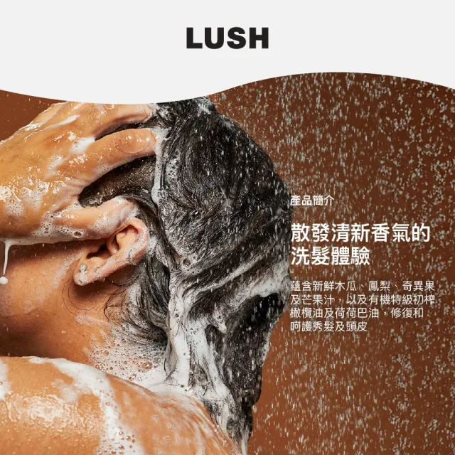 【LUSH 嵐舒】水果特調洗髮露 100g(洗髮精/修護/亮澤/調理頭皮/溫和清潔)