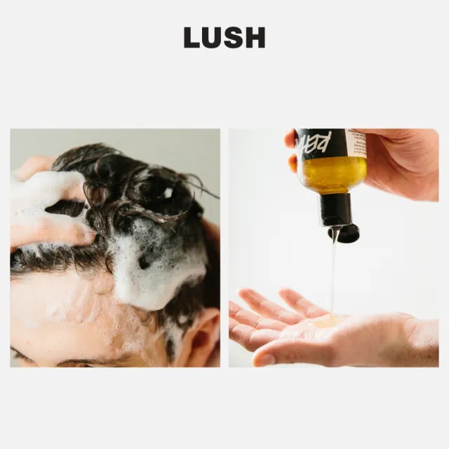 【LUSH 嵐舒】水果特調洗髮露 100g(洗髮精/修護/亮澤/調理頭皮/溫和清潔)