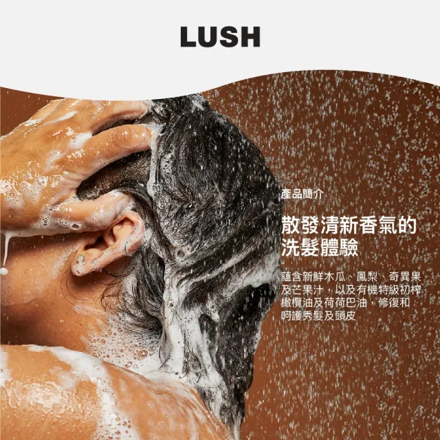 【LUSH 嵐舒】水果特調洗髮露 250g(洗髮精/修護/亮澤/調理頭皮)