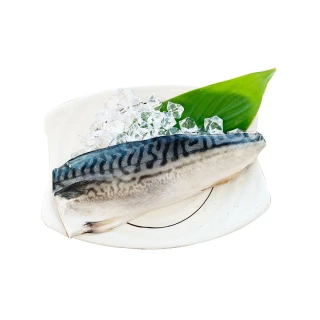 【優食家】北大西洋挪威薄鹽鯖魚 淨重140g/片(21片超值優惠組)