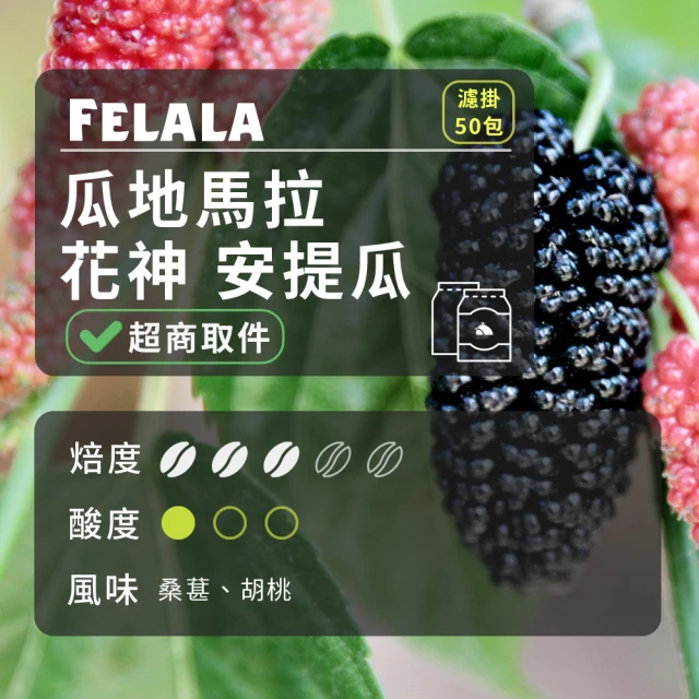 Felala 費拉拉 中深烘焙 特級 義大利 咖啡豆 8磅(