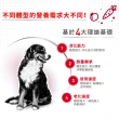 【ROYAL 法國皇家】中型成犬專用飼料 MA 4KG(狗乾糧 狗飼料 免疫力 腸胃)