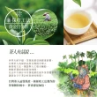 【台灣茶人】阿里山風味烏龍茶葉150gx8包(共2斤)