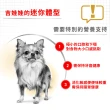 【ROYAL 法國皇家】吉娃娃成犬專用飼料 CHA 3KG(狗乾糧 狗飼料)