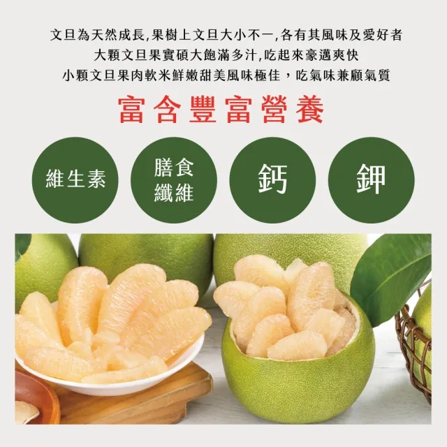 【初品果】花蓮鶴岡海伯40年老欉文旦10斤10-14顆x2箱(小果_外銷等級_中秋禮盒_企業送禮)
