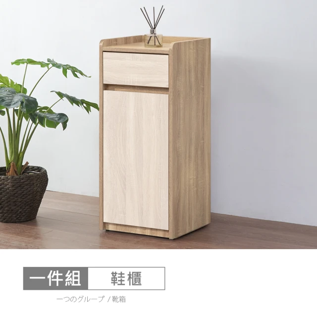 時尚屋 [XV11]松浦橡木雙色1.3x3尺鞋櫃XV11-R222(免運費/免組裝/鞋櫃)