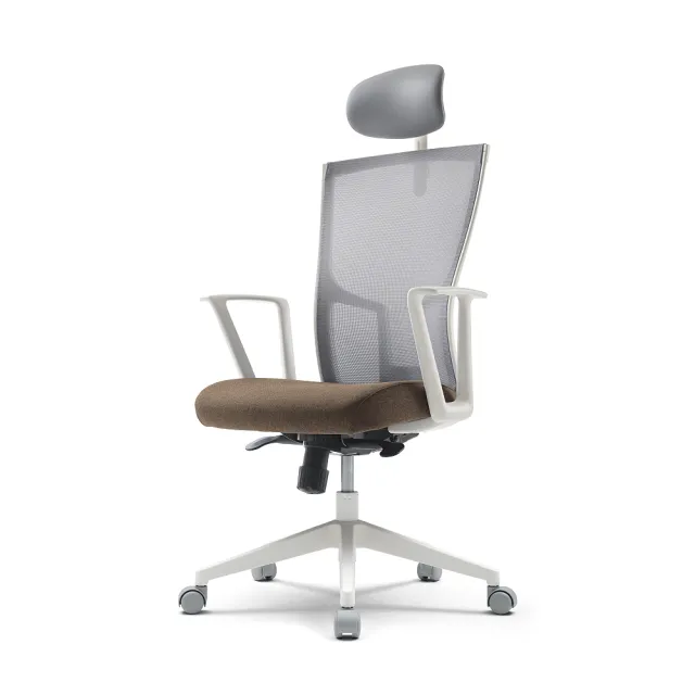 【SIDIZ】T20 網背人體工學椅(辦公椅 電腦椅 透氣網椅)