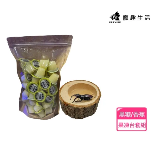 【Petvibe寵趣生活】甲蟲獨角仙果凍台50入果凍套組(甲蟲果凍/昆蟲果凍/寵物果凍/甲蟲/獨角仙)