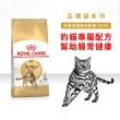 【ROYAL 法國皇家】豹貓成貓專用飼料BG40 10KG(貓乾糧 貓飼料)