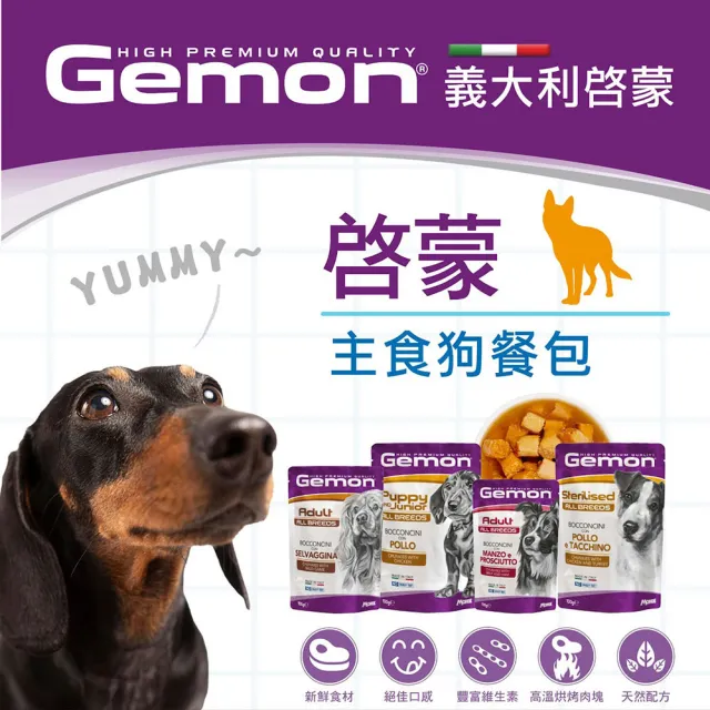 【Gemon 啟蒙】無穀主食狗餐包100g-24入(主食餐包、成犬、高齡犬、幼犬、狗罐頭 全齡適用)