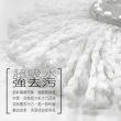 【好神拖】專用極細緻布盤-1入