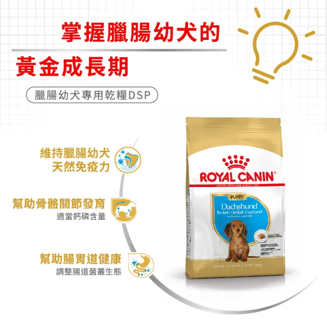 【ROYAL 法國皇家】臘腸幼犬專用飼料 DSP 1.5KG(狗乾糧 狗飼料)