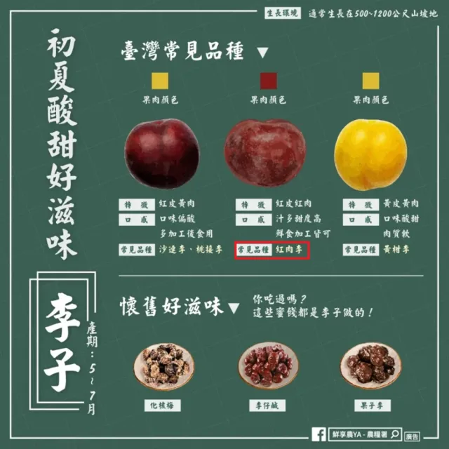 【皮果家】梨山紅肉李中小果5斤/箱
