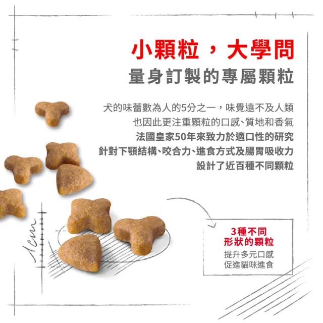 【ROYAL 法國皇家】腸胃敏感成貓專用飼料 S33 2KG(貓乾糧 易軟便貓 三種顆粒)