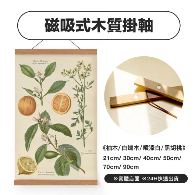 菠蘿選畫所】磁性木質掛軸-50cm(多尺寸/磁鐵掛畫桿/海報夾/壁畫/畫軸