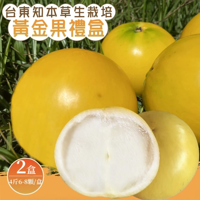 皮果家 新鮮金棗(每盒600g/六盒組)評價推薦