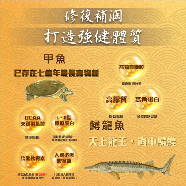 【華陀扶元堂】鱘龍甲魚龜鹿膠元5盒組(6瓶/盒;陳美鳳代言-軟骨素/MSM/葡萄糖胺)