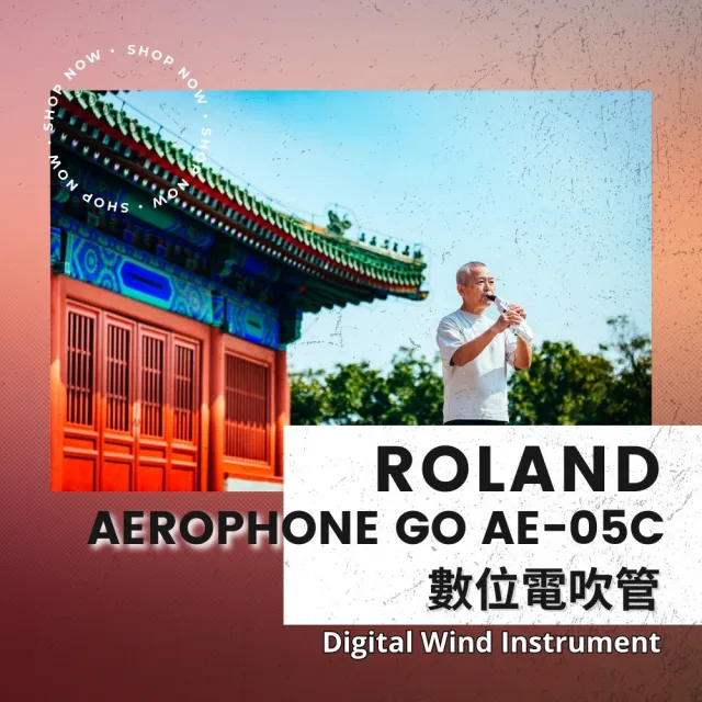 【ROLAND 樂蘭】AE05C 數位電吹管／薩克斯風／AEROPHONE GO AE-05C(原廠公司貨 品質保證)