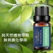 【Pavaruni】美國天然植物40種香味萃取香薰擴香精油10ml(薰香機 水氧機 薰衣草 檀香 玫瑰 雪松 白茶 茉莉)