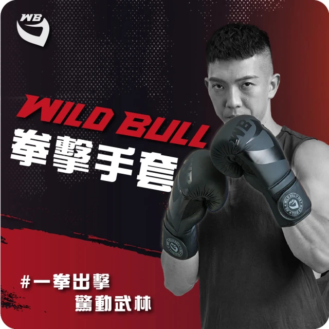 WILDBULL 拳擊手套(WILDBULL 拳擊手 格鬥 拳套 包裹 護墊 拳擊)