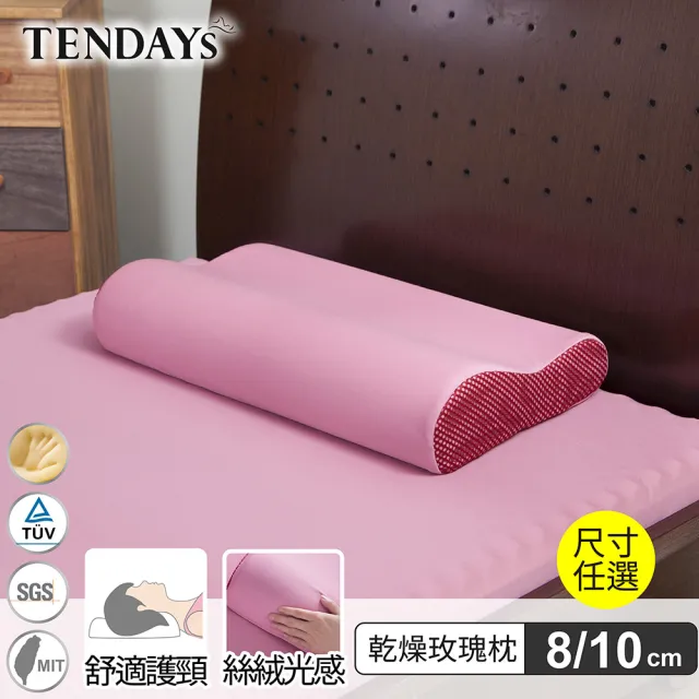 【TENDAYS】玩色柔眠記憶枕(乾燥玫瑰 8/10cm任選)