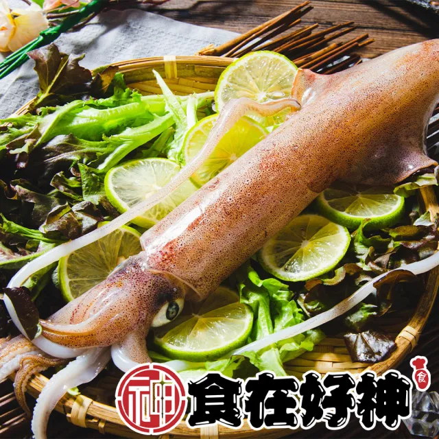 【食在好神】野生現撈船凍透抽