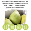 【享吃鮮果-中秋禮盒】台南麻豆老欉文旦柚3箱(6-8顆/箱/5斤 水果禮盒)