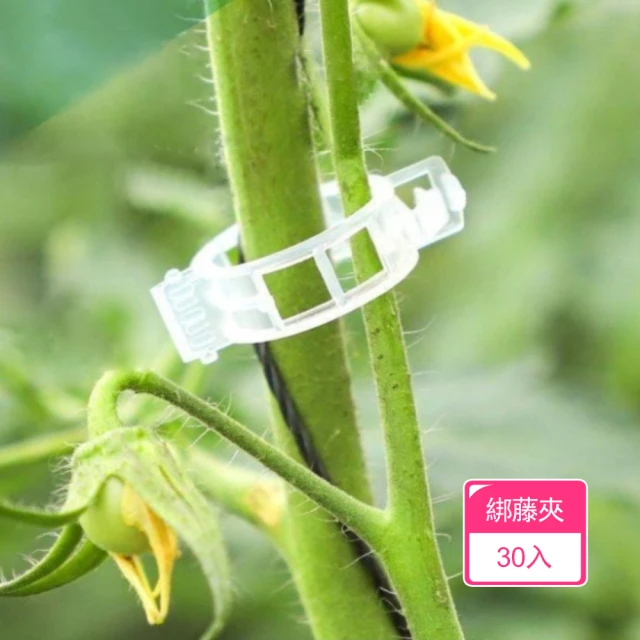 蔬菜之家 四方型栽培盆4吋-白色厚100個組(花盆 塑膠花盆