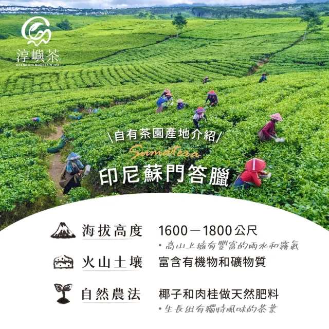 【淳嶼茶】GABA佳葉龍茶葉組合250g(球型/條朵型)