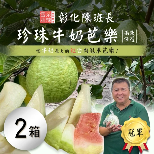 雪莉朵辣 宜蘭溫泉網紋綠肉洋香瓜x2箱(五斤 2顆裝 產地直