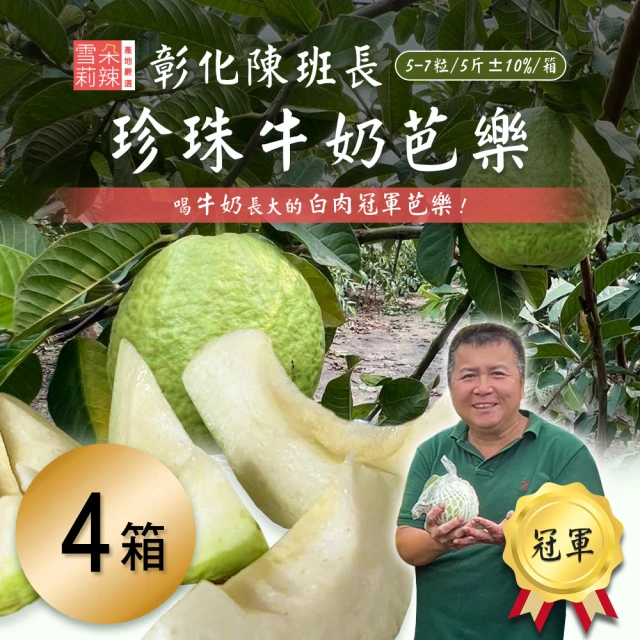 雪莉朵辣 宜蘭溫泉網紋綠肉洋香瓜x2箱(五斤 2顆裝 產地直