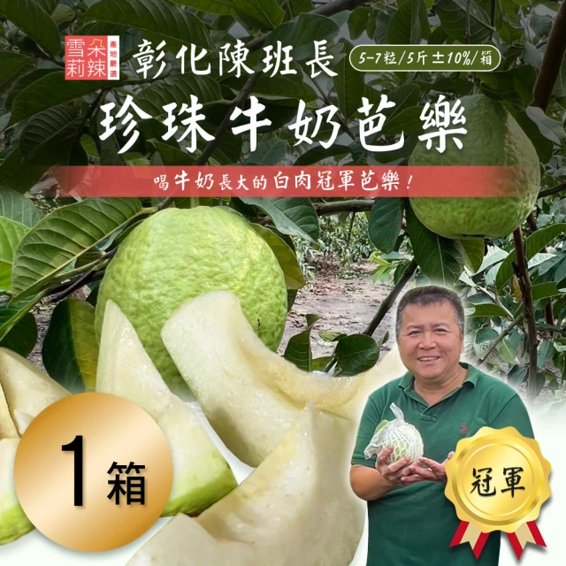 初品果 屏東鹽埔珍翠芭樂禮盒4斤5-8顆x2盒(有身分證的芭