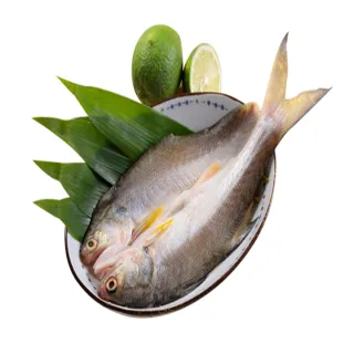 【華得水產】新鮮午仔魚8尾(250-280g/尾)