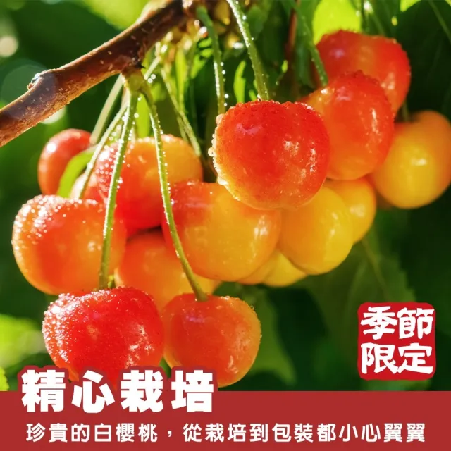 【WANG 蔬果】美國草莓白櫻桃9.5R 1Kgx1盒(禮盒組/空運直送)