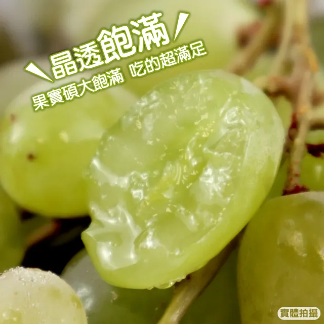 【WANG 蔬果】美國無籽綠葡萄500gx8盒(空運直送.無籽葡萄.進口水果)
