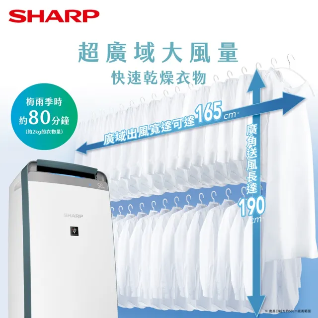 【SHARP 夏普】16公升 自動除菌離子 衣物乾燥抗黴除濕機 湖水綠(DW-P16HT-G)