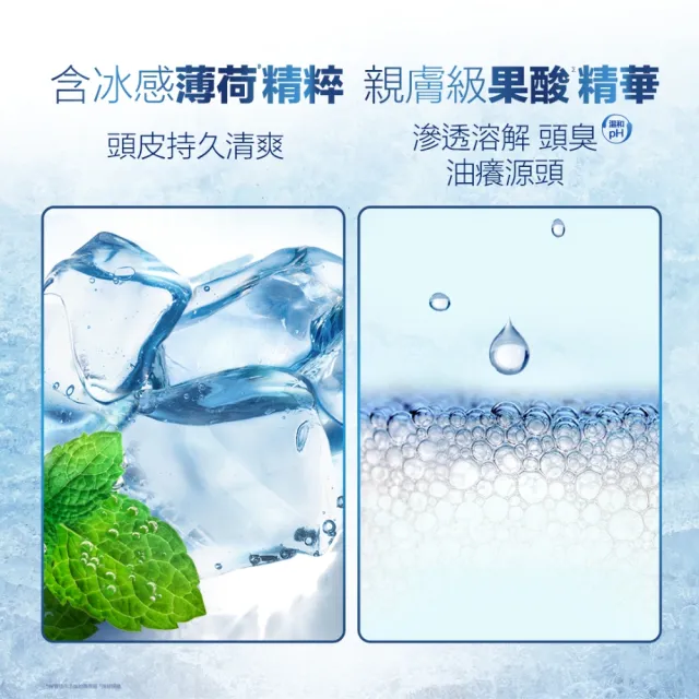 【海倫仙度絲】頭皮護理油水平衡洗髮露 650g(控油蓬鬆/保水舒緩/淨爽止癢)