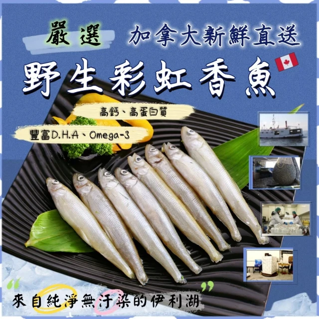 金牌廚藝 野生捕撈鮮凍彩虹香魚好評推薦