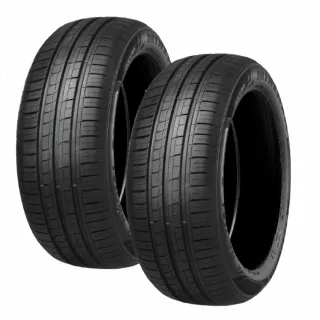 【Minerva】F205 米納瓦運動操控電動車轎車輪胎 四入組 255/45/19適用車款特斯拉Model Y等(安托華)