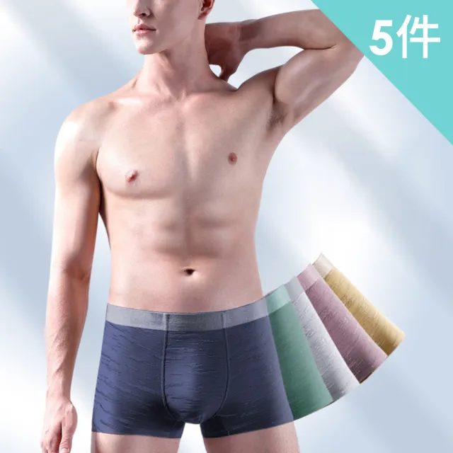 【Dylce 黛歐絲】● 5件組-莫代爾舒適無痕四角內褲/透氣/涼感/無痕內褲/中高腰內褲(隨機/出清品)