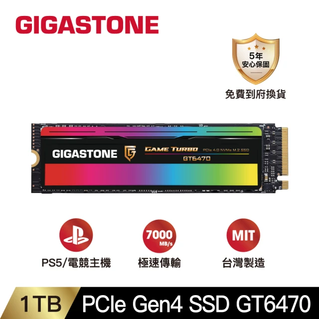 Gigastone 立達國際 GT6330 1TB PCIe