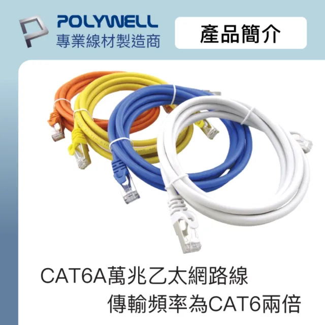 【POLYWELL】CAT6A 高速乙太網路線 S/FTP 10Gbps /5M